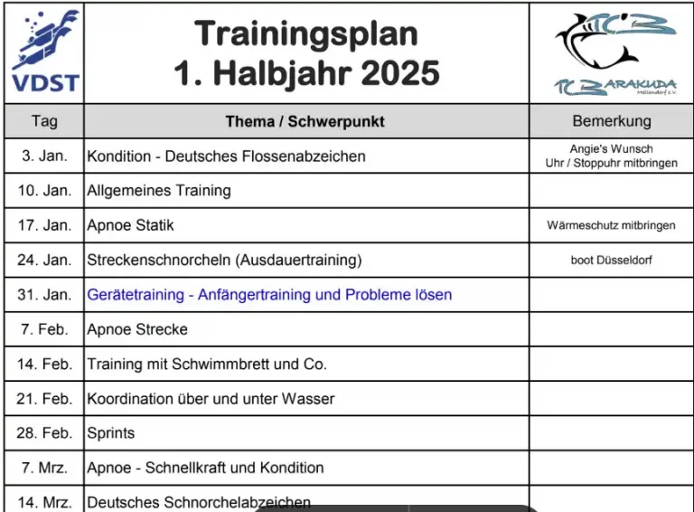 Trainingsplan 2025 online